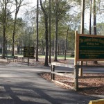 path lined with trees